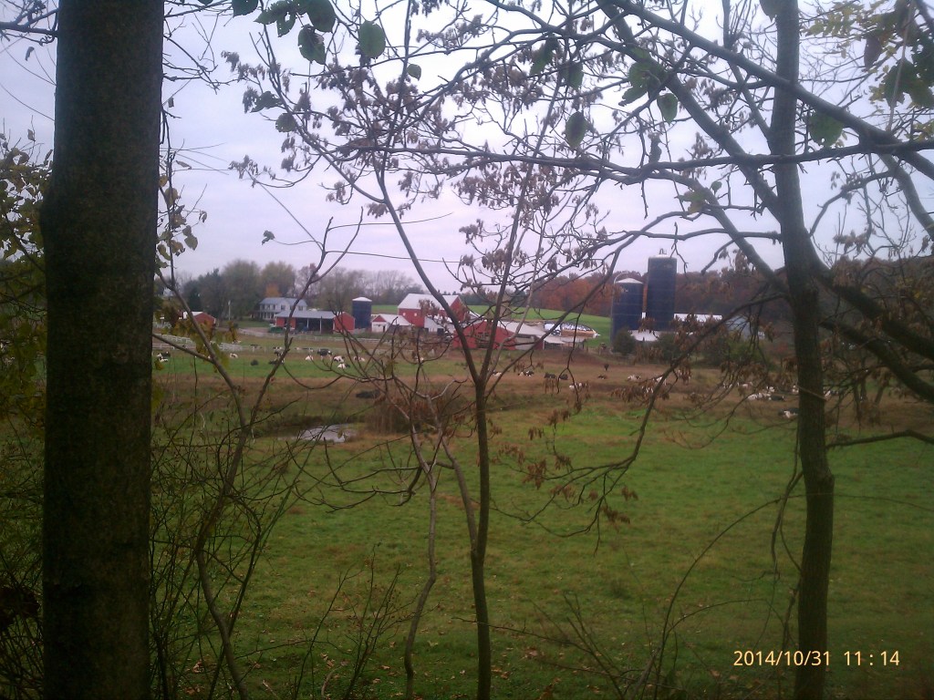 New Way to New Windsor&nbsp;200k