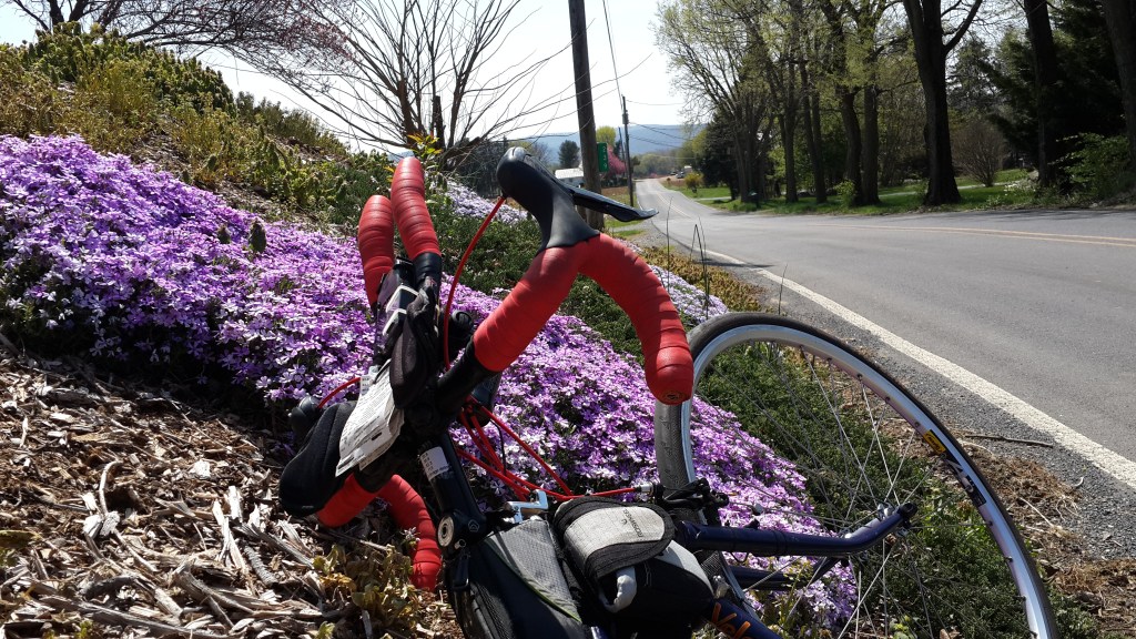 Frederick 300km ride report – “Forget the elevation profile&nbsp;“